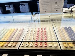 -BLACKSWAN黑天鹅(环球店)