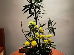-普陀山雷迪森庄园