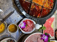 -重庆渝达老火锅(春熙路店)