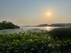 -丁香湖公园