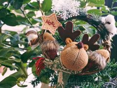 -隹木咖啡馆(宝龙广场店)