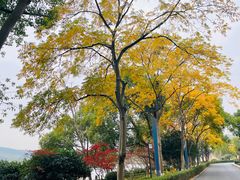 -南北湖风景区