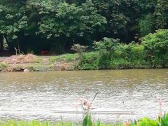 -海珠湖公园