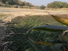 -艾溪湖湿地公园