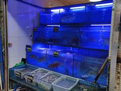 -湛江海鲜餐厅
