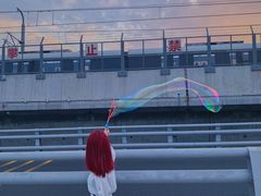 -海堤纪念公园