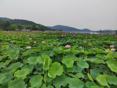 -南北湖风景区