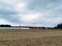 -东郊椰林