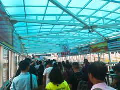 -武汉关码头(轮渡站)