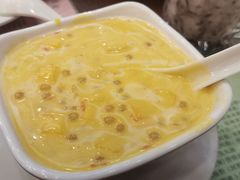 -南信牛奶甜品专家