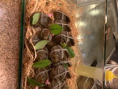 -上海东方佘山翰悦阁酒店·Vie全日制餐厅