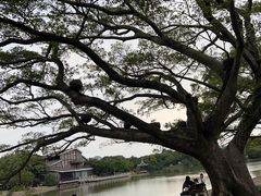 -江心屿景区