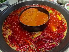 番茄鸳鸯锅底-龙厂长老火锅(抚琴店)