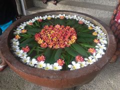 进门花缸-帝王SPA