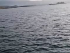 -千岛湖城中湖游船码头