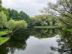 -上海共青森林公园