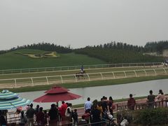 -迪茵湖田家舍生态农场