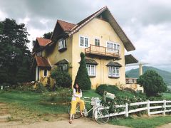 -黄色小屋