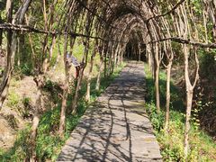 -游子山休闲旅游区