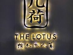 -几荷·恰似故人来(秀水广场店)