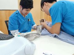 -菲丽丝宠物医院·24小时·猫科中心·免疫点(淮海分院)