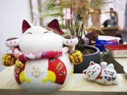 -茶发Salon·烫发染发理发