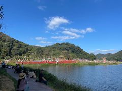 -广州市石门国家森林公园