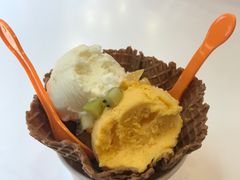 -iceason爱茜茜里·意大利健康冰淇淋(骑龙巷店)