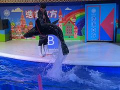 -成都浩海立方海洋公园