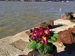 景点-多瑙河畔鞋履雕塑