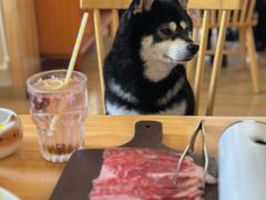 -柴の食堂·日式家庭料理·熊之肆(大学路店)