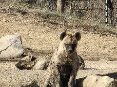 -北京野生动物园