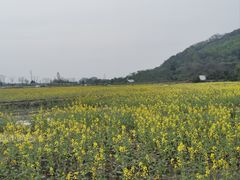 -南北湖风景区