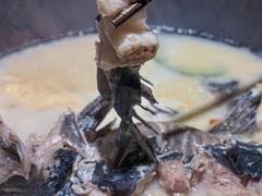 -鲜潭蒸汽石锅鱼(五道口购物中心店)