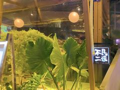 -不二·民谣音乐餐酒吧(九眼桥店)