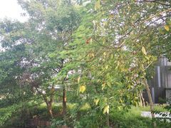 -木守西溪溪隐餐厅