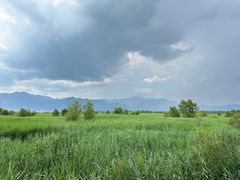 -野鸭湖国家湿地公园