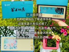 -日照海滨国家森林公园