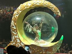 -广州长隆国际大马戏