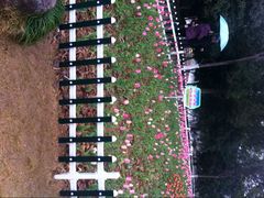 android_upload_pic-锦屏公园