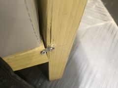 -云海肴·汽锅鸡·云南代表菜(美罗城店)