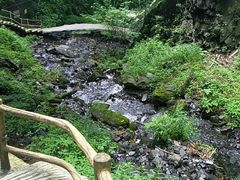 -凤凰山国家森林公园