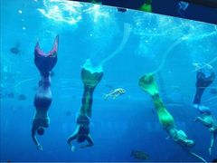 -瑞德姆美人鱼海底演艺主题餐厅(亚龙湾店)