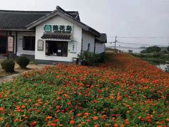 -小陆莲花蟹园农家乐(莲花岛店)