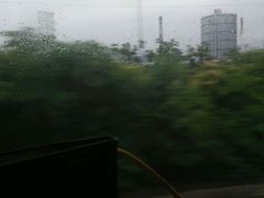 -四季美汤包(户部巷店)