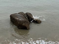 -黄金海岸环岛路