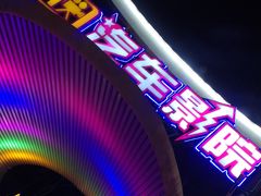 -枫花园汽车电影院(朝阳公园店)