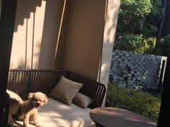 -上海崇明金茂凯悦酒店