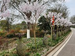 -武汉紫薇都市田园