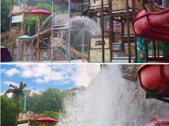 -重庆海昌加勒比海水世界